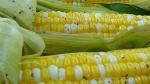 Canadian Grilled Corn on the Cob Recipe BBQ Grill