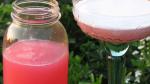 American Rhubarb Margarita Recipe Appetizer