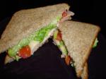 American The slim Jim Sandwich Appetizer