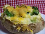 American Broccoli Cheddar Twicebaked Potatoes Appetizer