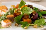 Canadian Spinach Roasted Pumpkin And Walnut Salad Recipe Appetizer