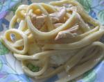 American Favorite Homemade Chicken and Noodles Dinner