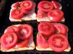 American Grilled Sourdough Bread With Garden Tomatoes Appetizer