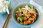 American Basic Chicken And Vegetable Stirfry Recipe Dinner