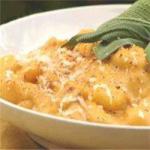 American Gnocchi of Pumpkin Sauce Bacon and Sage Dinner