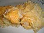 American Chicken and Cheese pie Dinner
