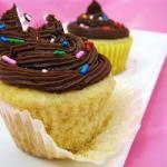 American Vanilla Cupcakes Gluten Free Dessert