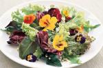 American Spring Salad With Jasmine Flower Vinaigrette Recipe Dessert