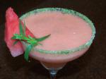 American Frozen Watermelon Margarita With Tarragonsalt Rim Appetizer
