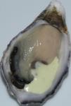 American Fire and Ice Oysters with Horseradish Sauce Dinner