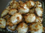 American Coconutapricot Macaroons Dessert