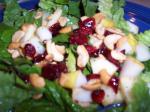 American Fruited Salad Wpoppy Seed Dressing Appetizer