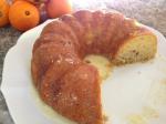 American Blender Orange Cake Dessert