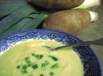 American Some Like It Hotvichyssoisesome Like It Cold Appetizer