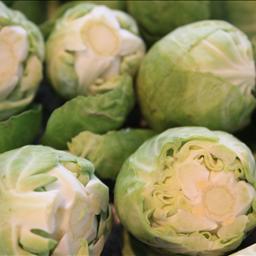 Canadian Plain Jane Steamed Brussels Drink