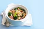 Canadian Salami And Broccoli Fried Rice Recipe Appetizer