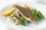 Canadian Almond And Herb Pilaf With Grilled Fish Recipe Dinner