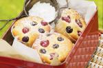 Mixed Berry Cupcakes Recipe recipe