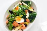 Canadian Red Salmon Witlof and Rocket Salad Recipe Appetizer