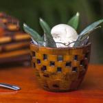 Coconut Icecream with the Icecream Maker recipe