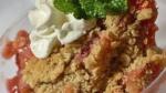 American Rhubarb Crunch Recipe Appetizer