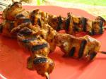 American Noos Famous Spiced Green Chicken Skewers BBQ Grill