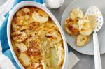 Irish Scalloped Potatoes Recipe 41 Appetizer