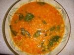 American Red Lentil and Carrot Soup With Coconut for the Crock Pot Dinner