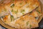 American Oven Baked Fish Fillets With Parmesan Cheese Dinner