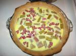 American Grandma Rampkes Easy Rhubarb Custard Pie Dessert