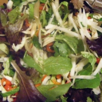 Canadian Green and Red Salad Appetizer