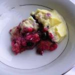 American Red Berries and Blueberries Bacony Bits with Citroenvla Dessert