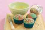 American Fairy Bread Cupcakes Recipe Dessert