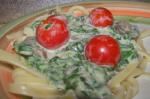 American Fettuccine With Spinach Cream Sauce Appetizer