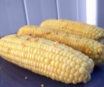 American Baked Garlic Corn on the Cob Appetizer