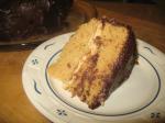 American Peanut Butter Sheet Cake 3 Dessert