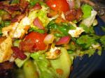 American Summer Blt Rotisserie Chicken Salad Appetizer