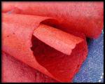 British Passion Strawberry Fruit Leather  Dehydrator Rollups Dessert