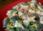 British Broccoli and Cauliflower Salad My Way Appetizer