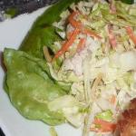 Japanese and Cabbage Salad Carrot Appetizer