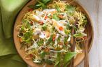 American Warm Fish And Noodle Salad Recipe Appetizer