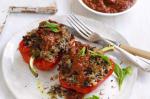 American Middle Eastern Lamb and Rice Stuffed Capsicums With Roasted Garlic and Tomato Sauce Recipe BBQ Grill