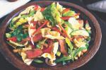 Indian Tandoori Lamb Salad Recipe Appetizer