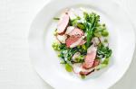 Spring Vegetables With Peppercrusted Lamb Recipe recipe