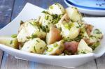 Canadian Warm Potato Salad Recipe 13 Appetizer