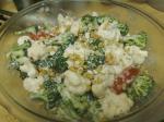 American Light and Creamy California Vegetable Salad Appetizer