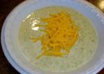 Australian Cream of Broccoli Soup With Cheddar Cheese 1 Appetizer