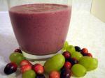 Canadian Soy Fruit Smoothie Dessert