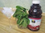 American Cranberry Mint Martini Drink