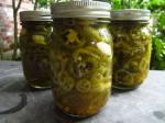 American Pickled Jalapeno Peppers 5 Appetizer